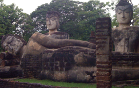 Burmese pic