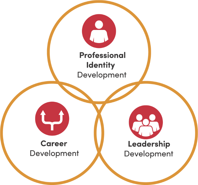 Venn Diagram showing Professional Identity Development, Career Development, and Leadership Development interconnected